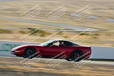 media/Mar-22-2025-West Coast Racing (Sat) [[0d49b412c8]]/Yellow Group/Session 1 (Turn 4-Exterior)/